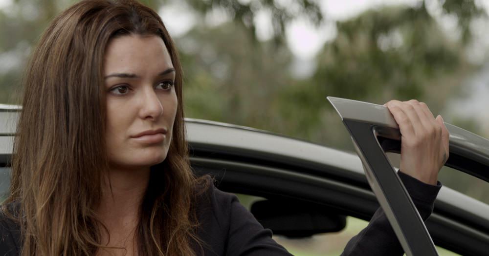 Converted to standard (Rec.709-like)